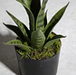 Planta Artificial Decorativa Sansevieria 40cm Con Macetero - Miniatura 4