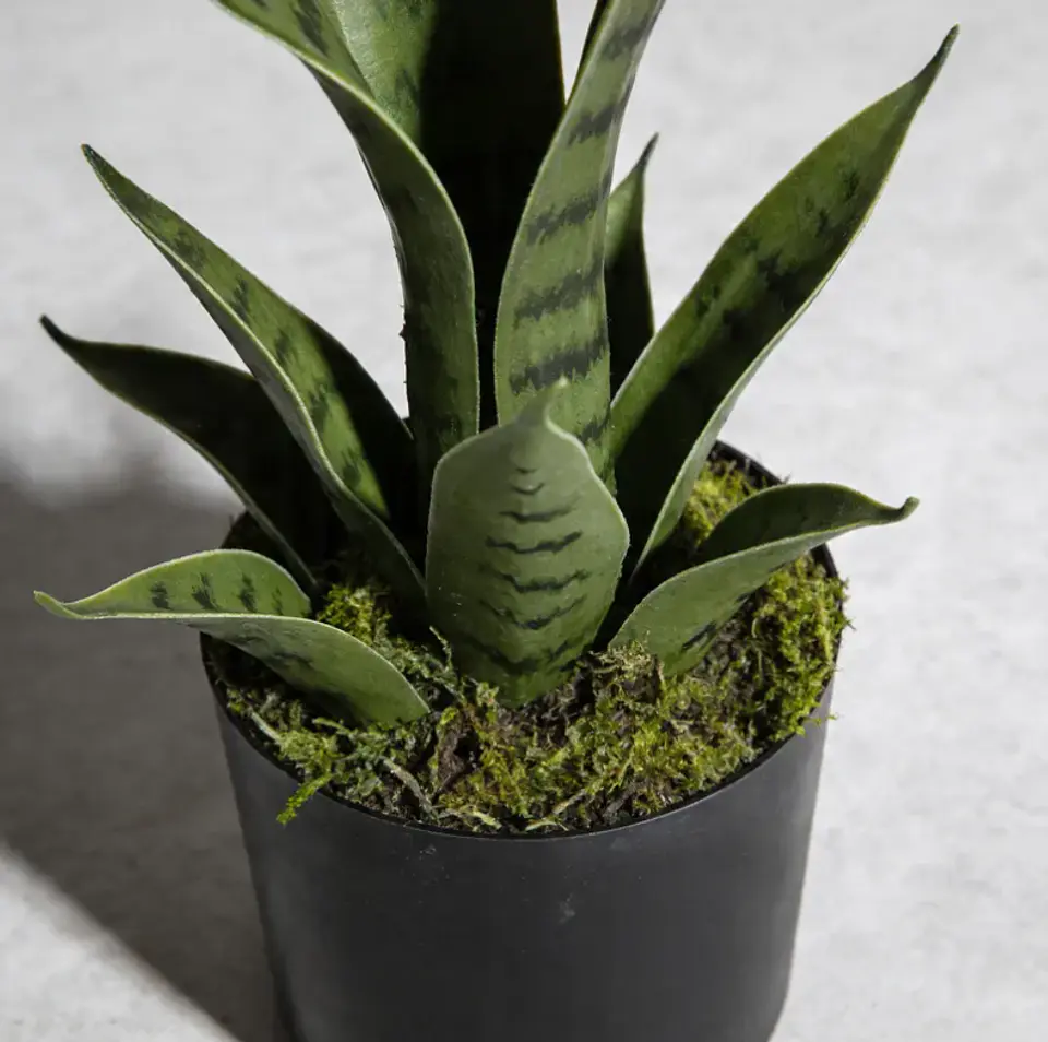 Planta Artificial Decorativa Sansevieria 40cm Con Macetero 4