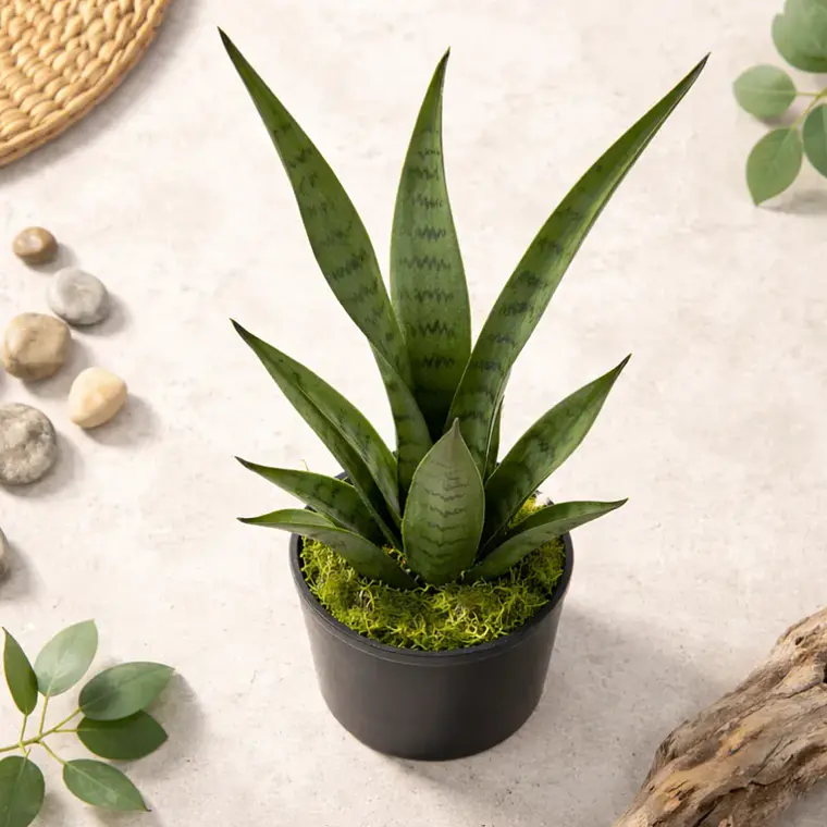 Planta Artificial Decorativa Sansevieria 40cm Con Macetero 7