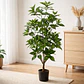 Planta Artificial Decorativa 1.5m Con Macetero - Miniatura 1