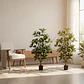 Planta Artificial Decorativa 1.5m Con Macetero - Miniatura 4