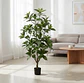 Planta Artificial Decorativa 1.5m Con Macetero - Miniatura 5