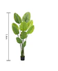 Planta Artificial Decorativa Tipo Banano 1.4m Con Macetero - Miniatura 3