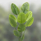 Planta Artificial Decorativa Tipo Banano 1.4m Con Macetero - Miniatura 2