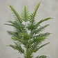 Planta Artificial Helecho 1.4m Con Macetero Negro - Miniatura 4