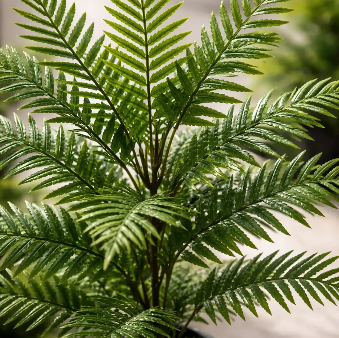 Planta Artificial Helecho 1.4m Con Macetero Negro 6