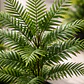 Planta Artificial Helecho 1.4m Con Macetero Negro - Miniatura 6