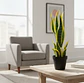 Planta Artificial Lengua De Suegra Con Macetero Negro - Miniatura 2