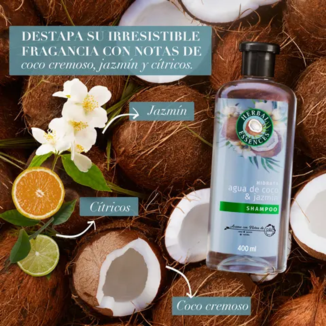 Shampoo Herbal Essences Hidrata Agua de Coco 400ml 4