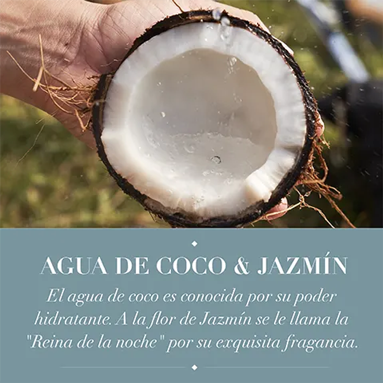 Shampoo Herbal Essences Hidrata Agua de Coco 400ml 5