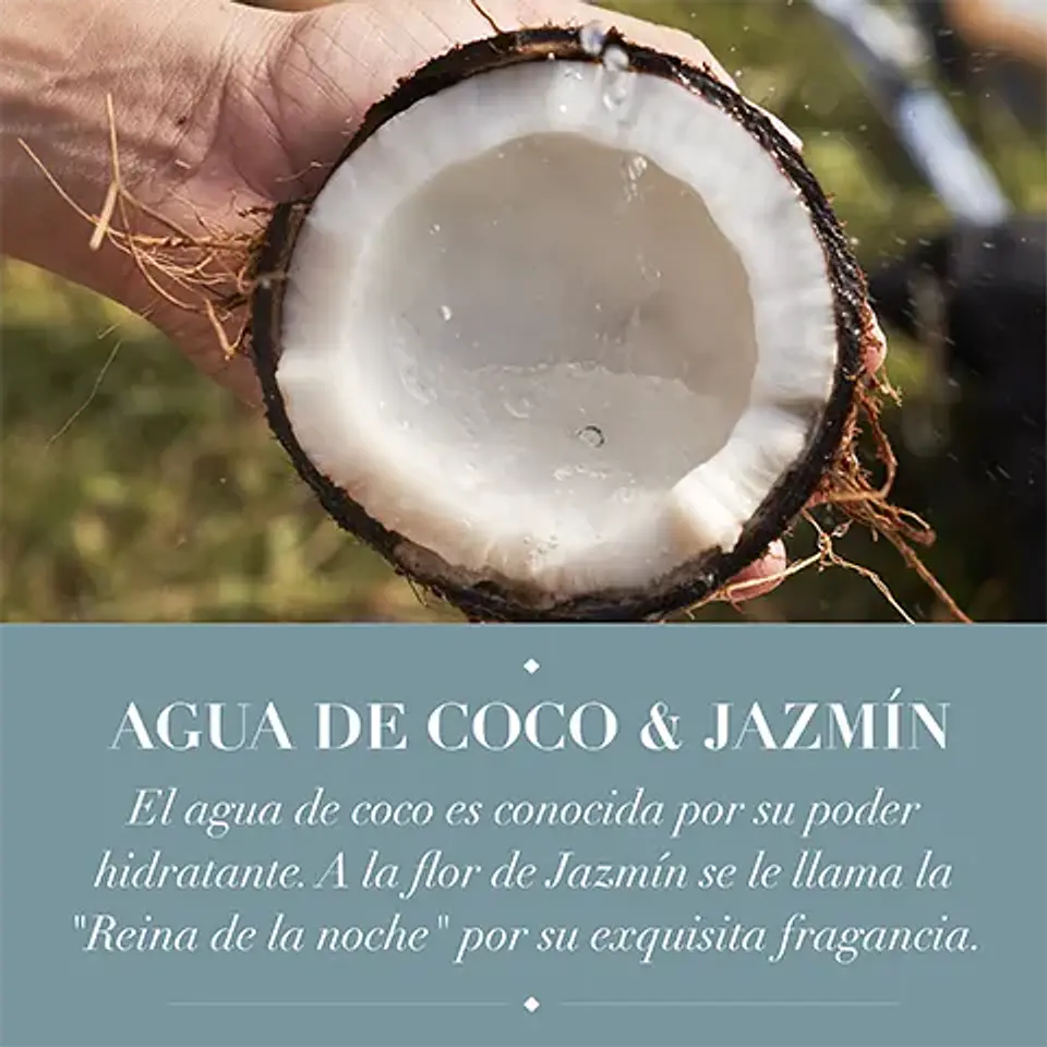 Shampoo Herbal Essences Hidrata Agua de Coco 400ml 5