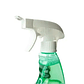 Limpiador Baño Limón 650 ml Purity Eco - Miniatura 4