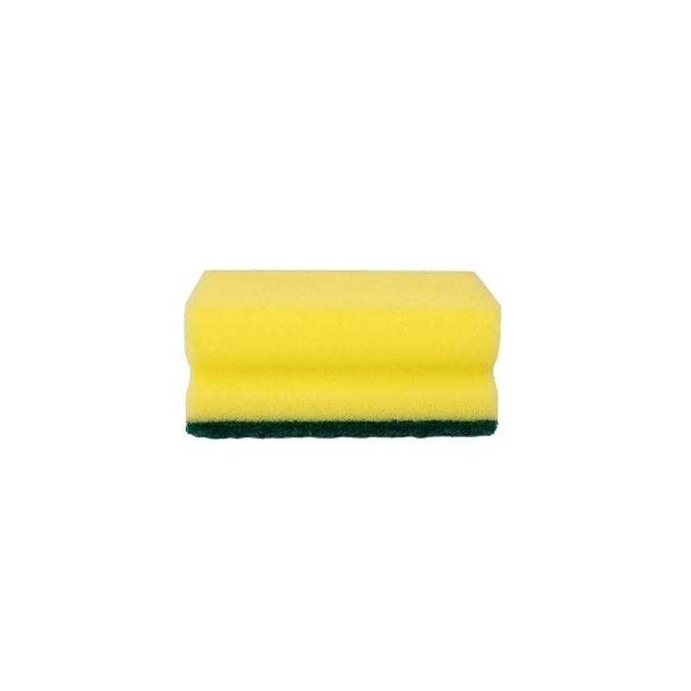 Pack 5 esponjas acanaladas Purity Eco 3