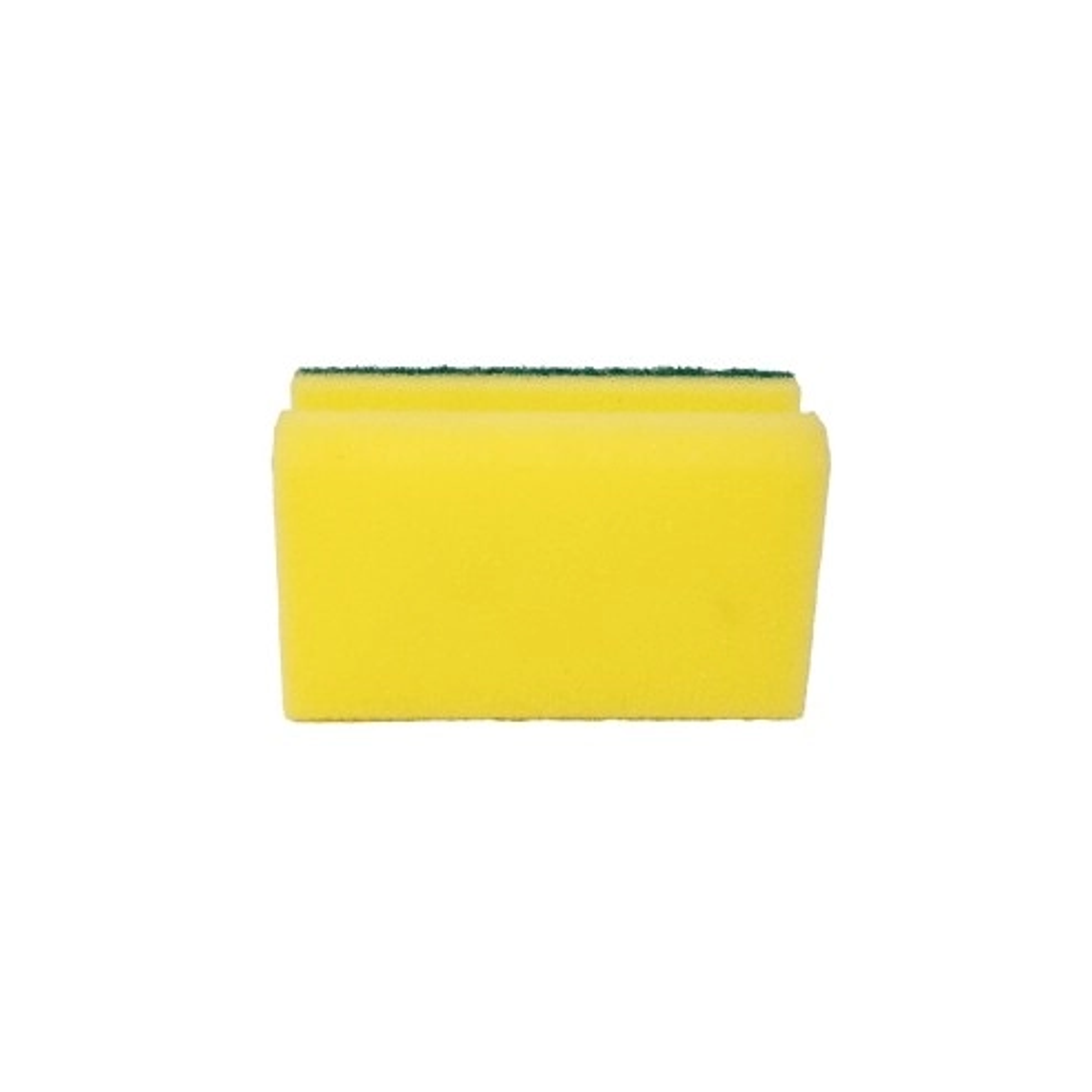 Pack 5 esponjas acanaladas Purity Eco 4