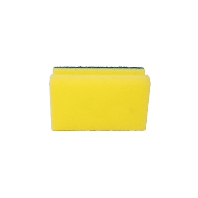 Pack 5 esponjas acanaladas Purity Eco 4