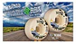 BONES STF PATRICK RYAN CRASH & BURN V4 WIDES 53MM 99A NATURAL - Miniatura 1