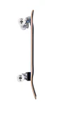 hydra 32″ 2024 - Miniatura 5