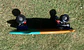 Surfskate 1 día Rocketpowerschool  - Miniatura 3