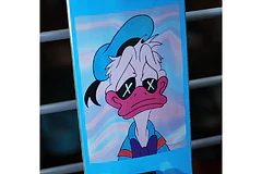 Donald Dank 8.25