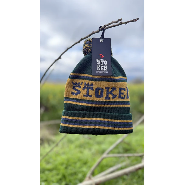 Gorro lana stoked  1