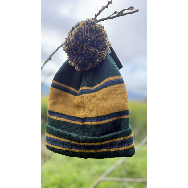 Gorro lana stoked  3