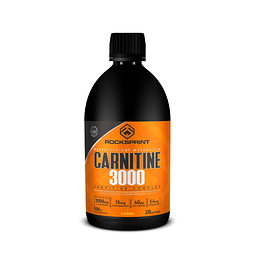 Carnitine 3000 500ml