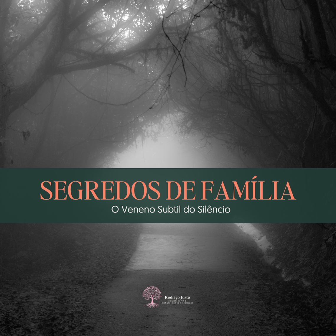 Segredos de Familia | Workshop 1