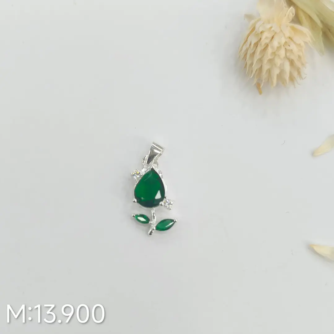 TULIPAN 1
