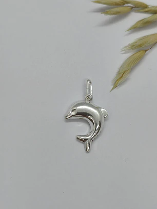 DELFIN