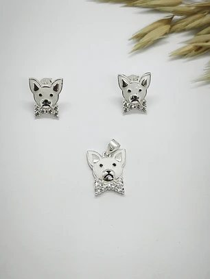 conjunto perro