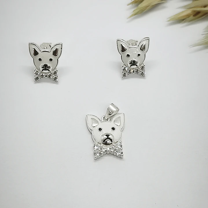 conjunto perro 1