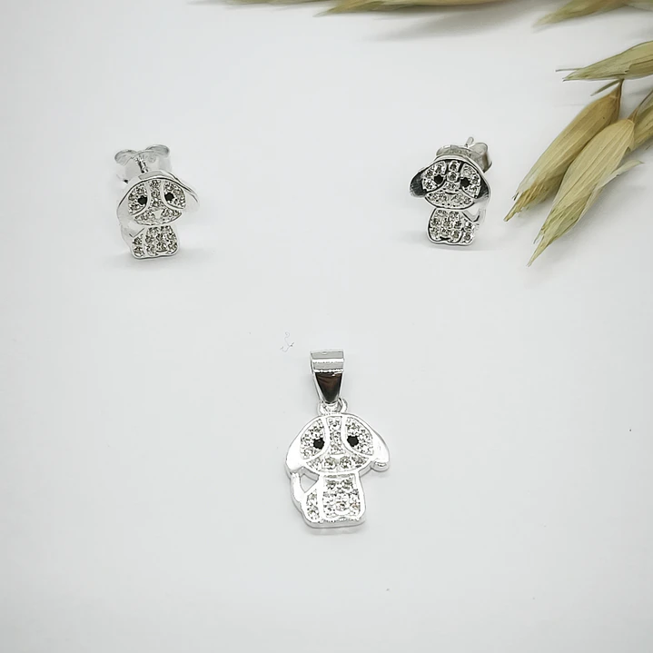 conjunto de perro 1