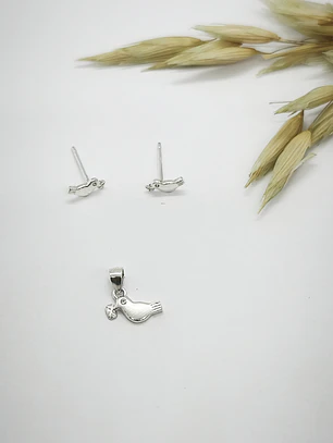 conjunto pajaro