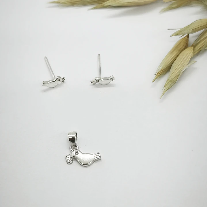 conjunto pajaro 1