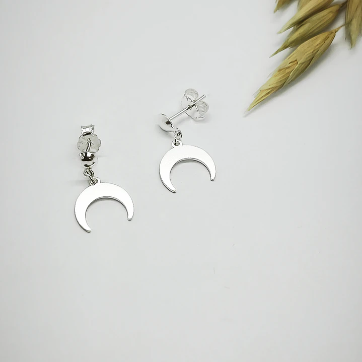 aro de luna  1