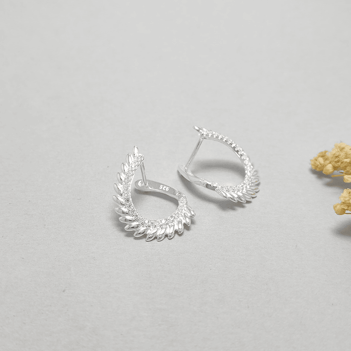 Argolla Microcircon  1