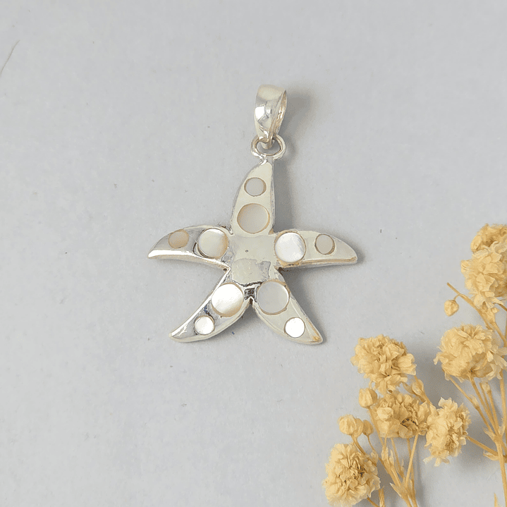 Colgante Estrella  1