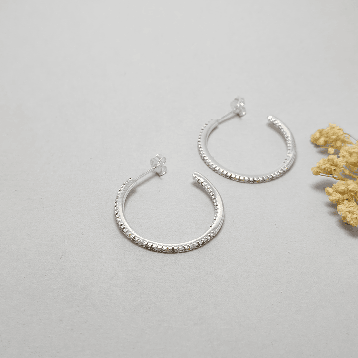 Argolla Microcircon  1