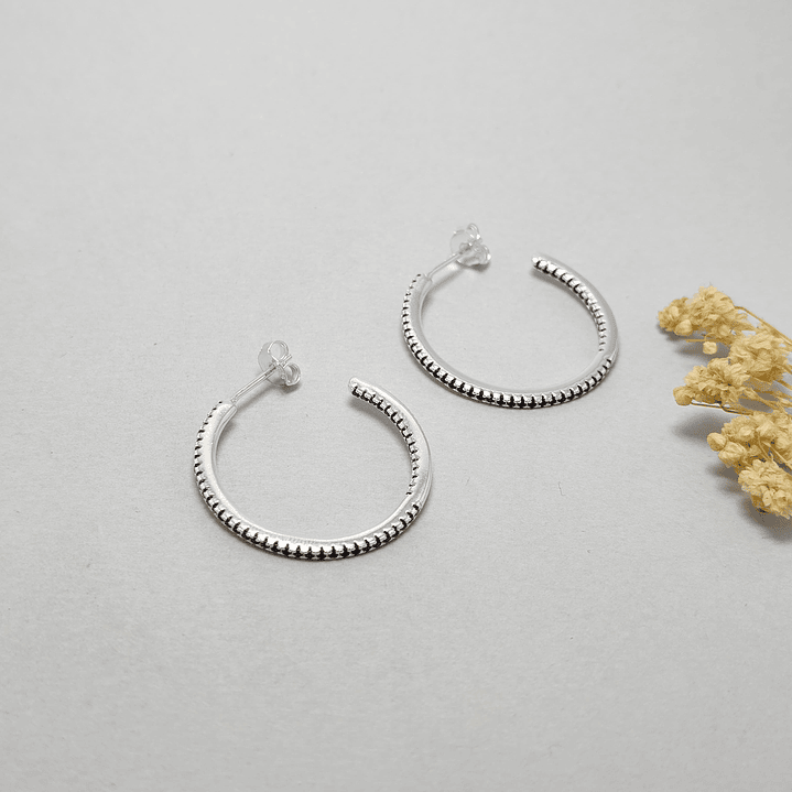 Argolla Microcircon  3