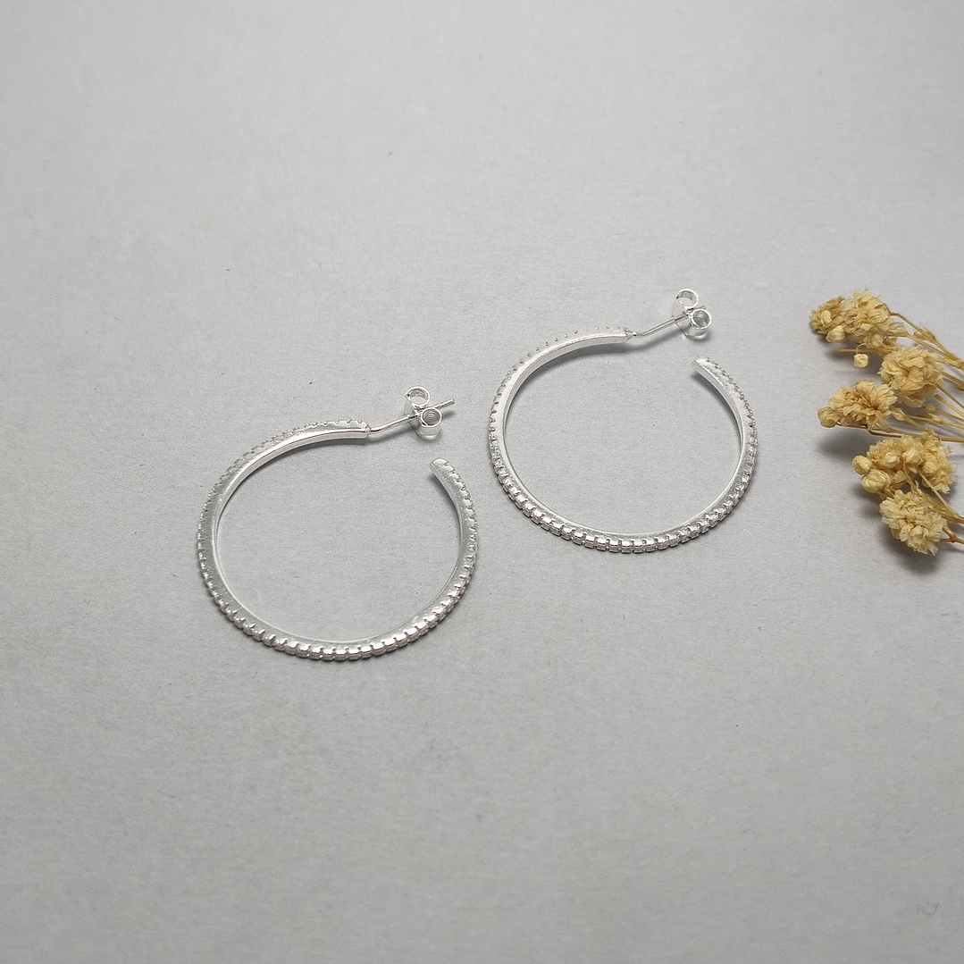 Argolla Microcircon  1