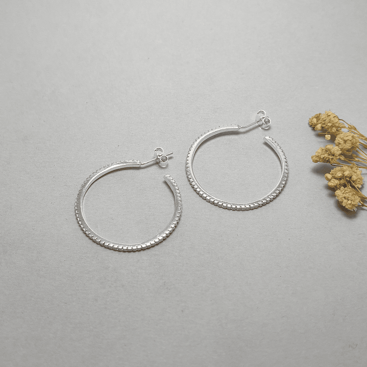 Argolla Microcircon  1