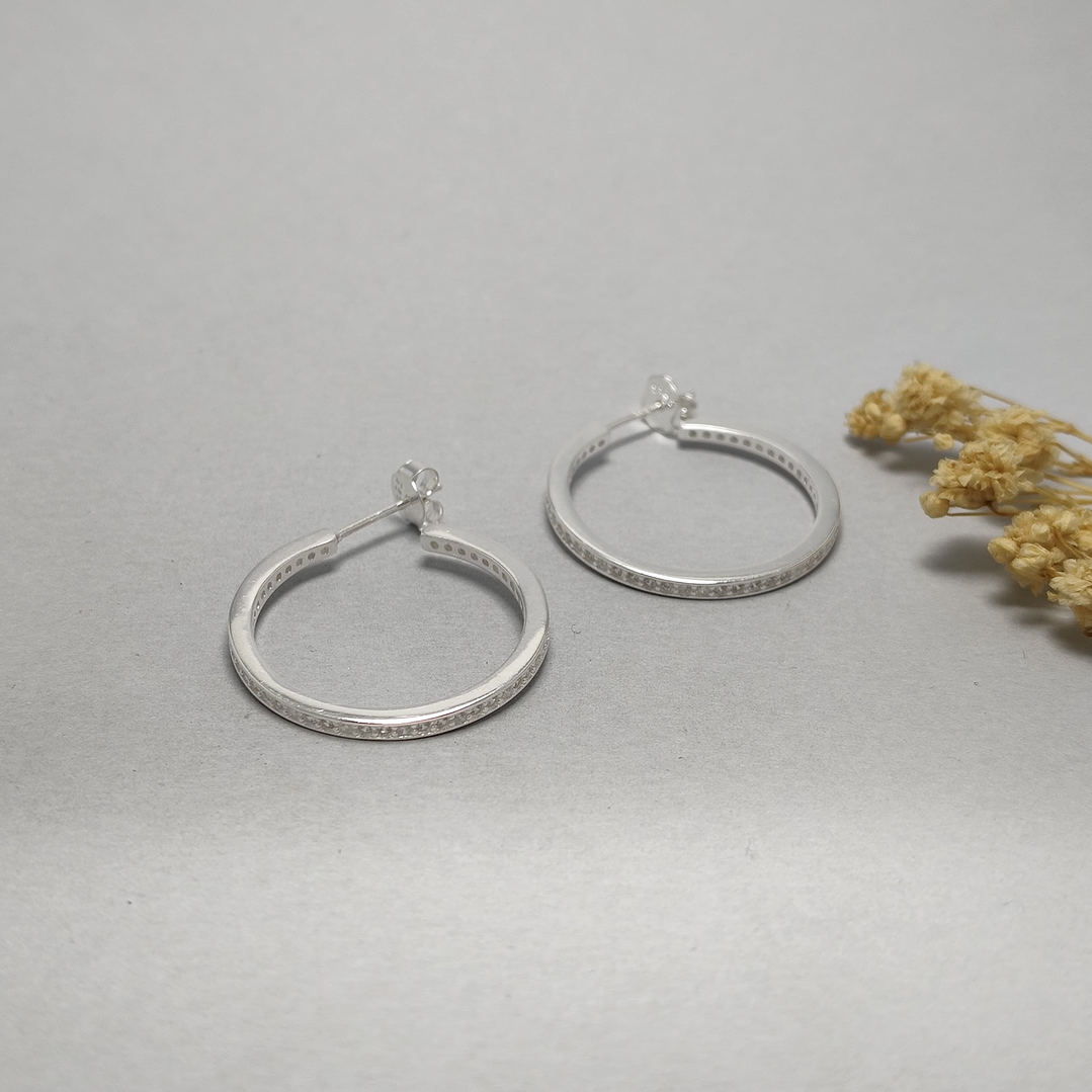 Argolla Microcircon  1