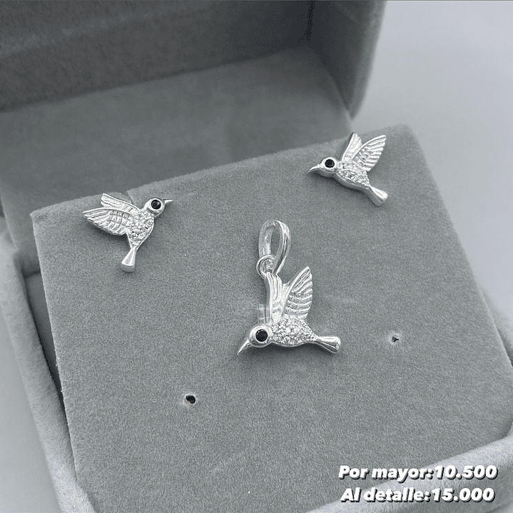 Conjunto Colibrí  1