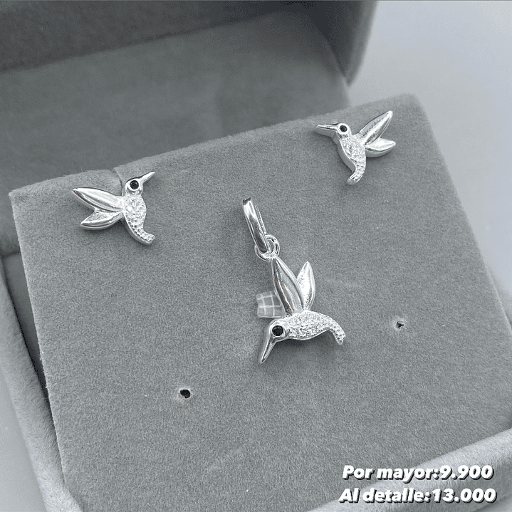 Conjunto Colibrí  1