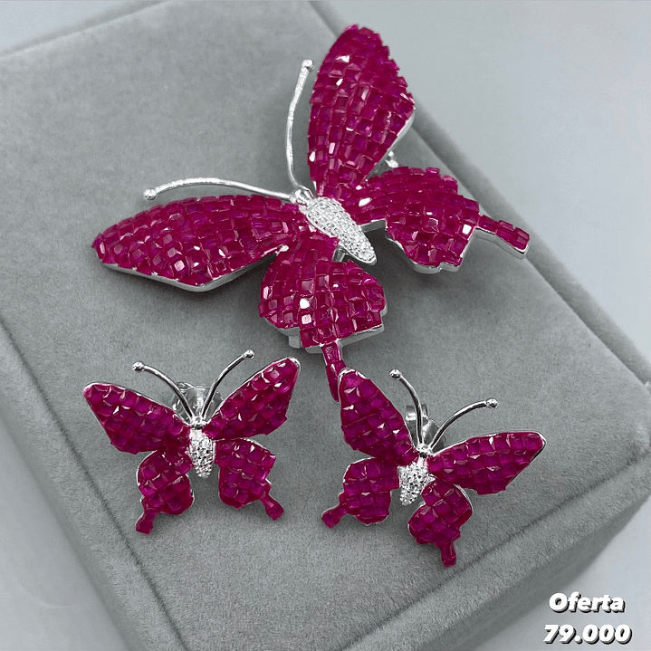 Conjunto Mariposa 1