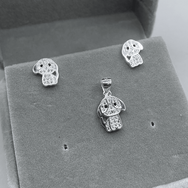 Conjunto Perro Microcircon  1