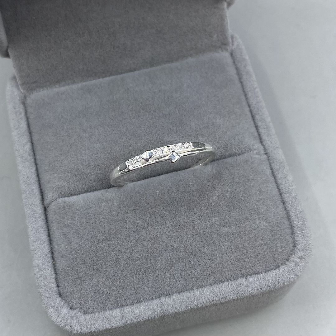 Anillo Microcircon  1