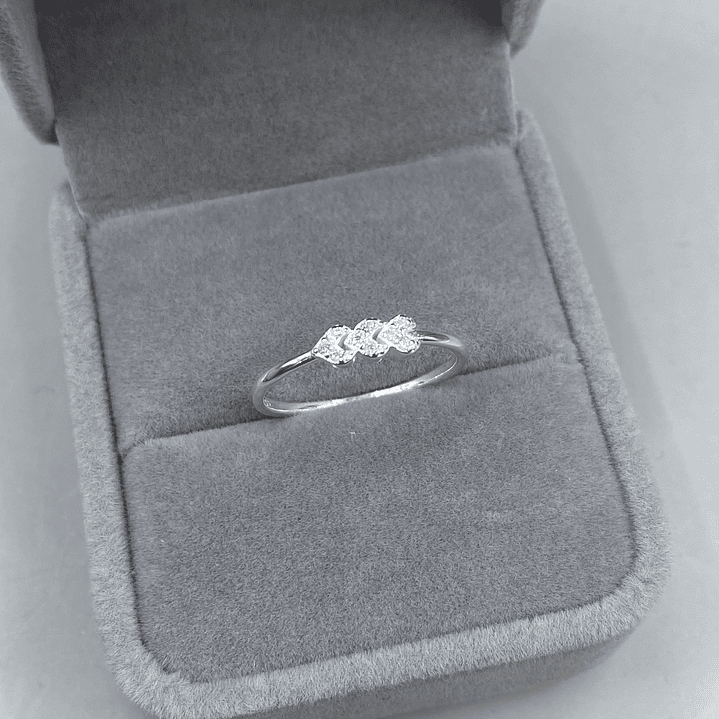 Anillo Microcircon  1