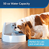The PetSafe Drinkwell Original Fuente de agua automática para gatos o dispensador de agua para perros - Capacidad de 50 oz de agua fresca filtrada - Fuente para mascotas con filtro incluido
