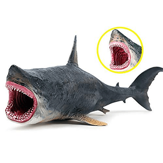 Gran tiburón juguetes Megalodon, plástico surtido océano animal tiburón figura realista mar criatura cognitiva juguete tiburón figura para colección regalo, juguete de baño, decoración de tartas